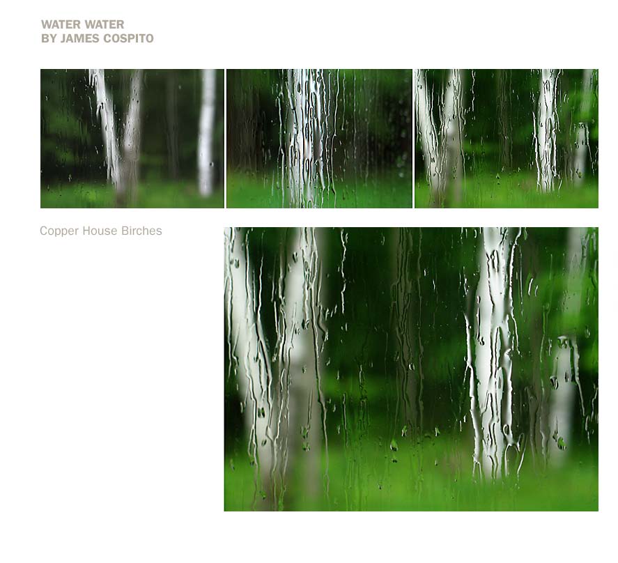 WestElm_BAP_selectArtist_2010(2)_Page_02