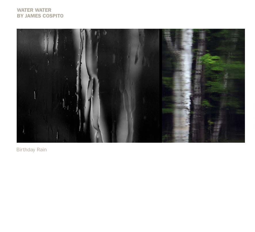 WestElm_BAP_selectArtist_2010(2)_Page_02