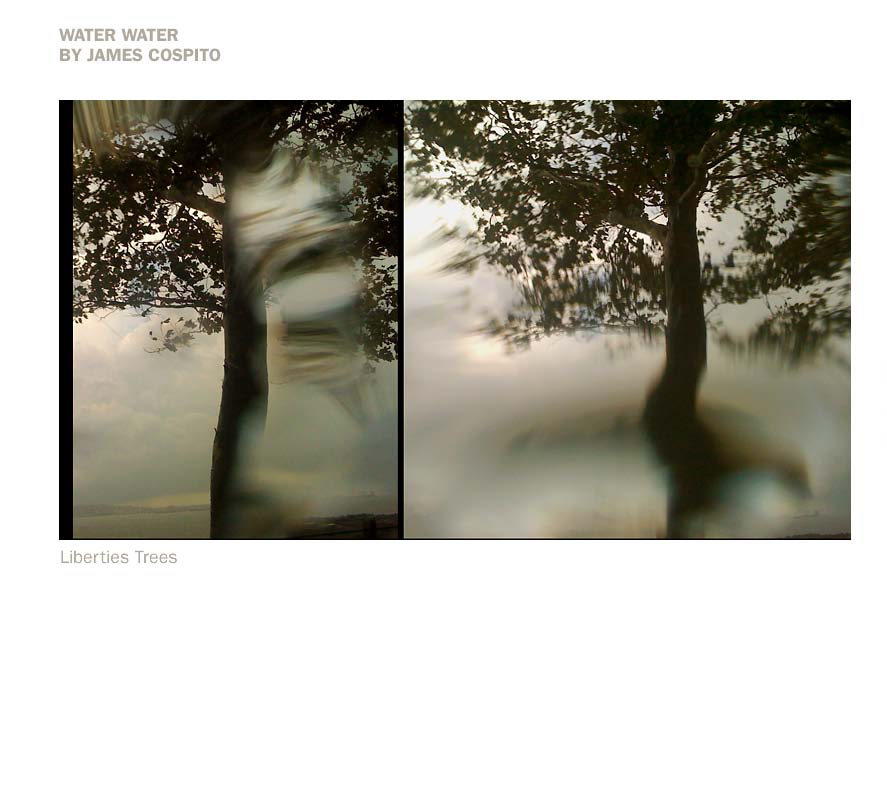 WestElm_BAP_selectArtist_2010(2)_Page_02